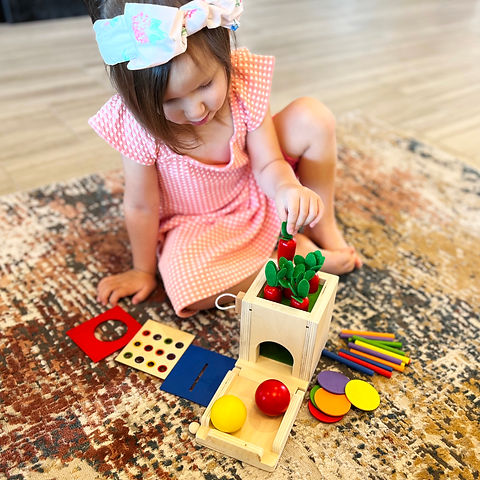 4 in 1 Montessori Play Kit