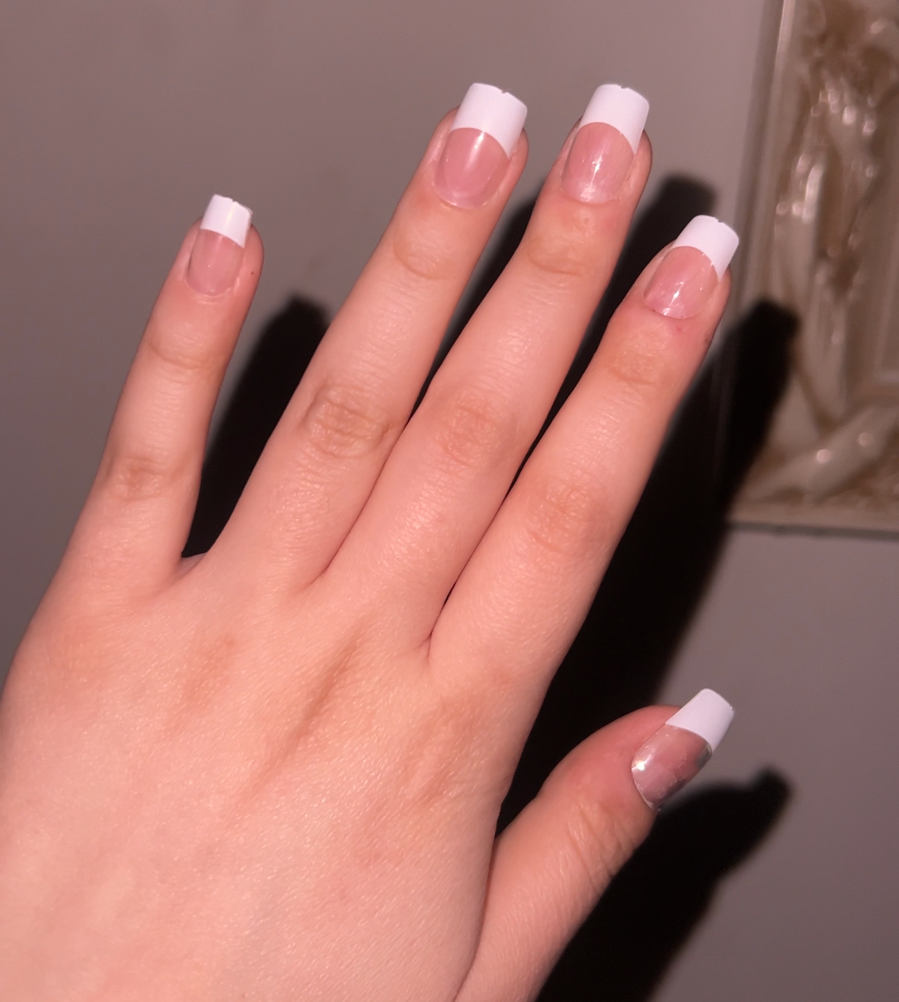 Natural Looking Press On French Nails