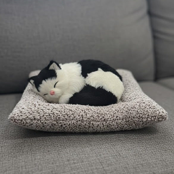 Cat On Pillow With Sound