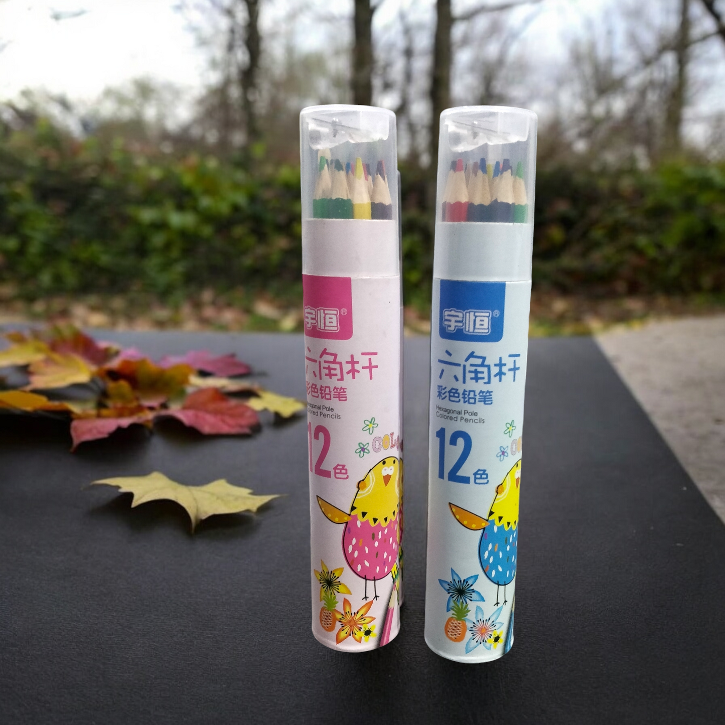 Good Quality Color Pencils With Jar