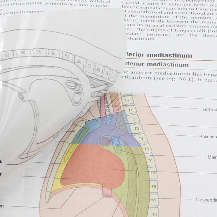 Transparent Sticky Notes