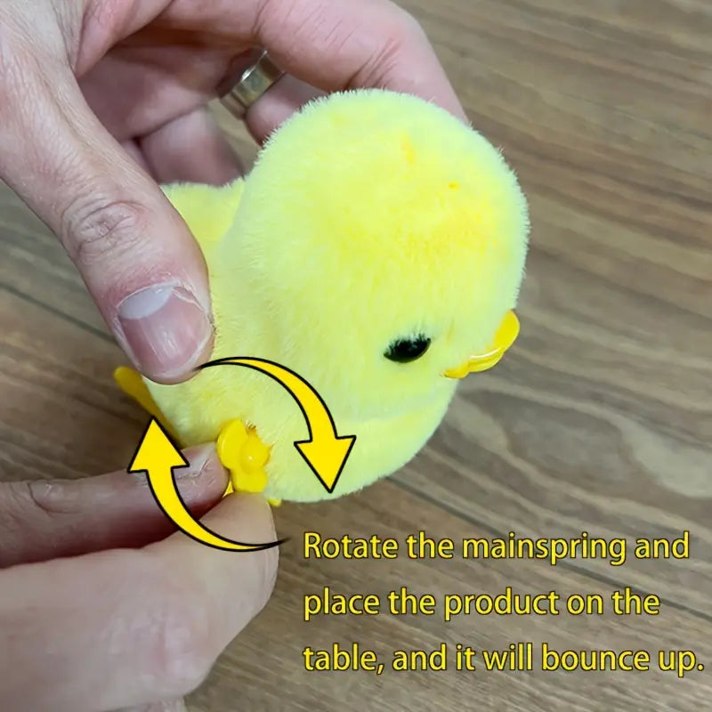 Wind Up Chick Toy