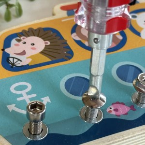 Nut Puzzle Toy
