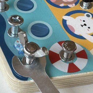 Nut Puzzle Toy