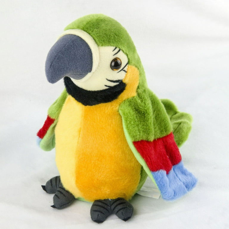 Recording Parrot Toy