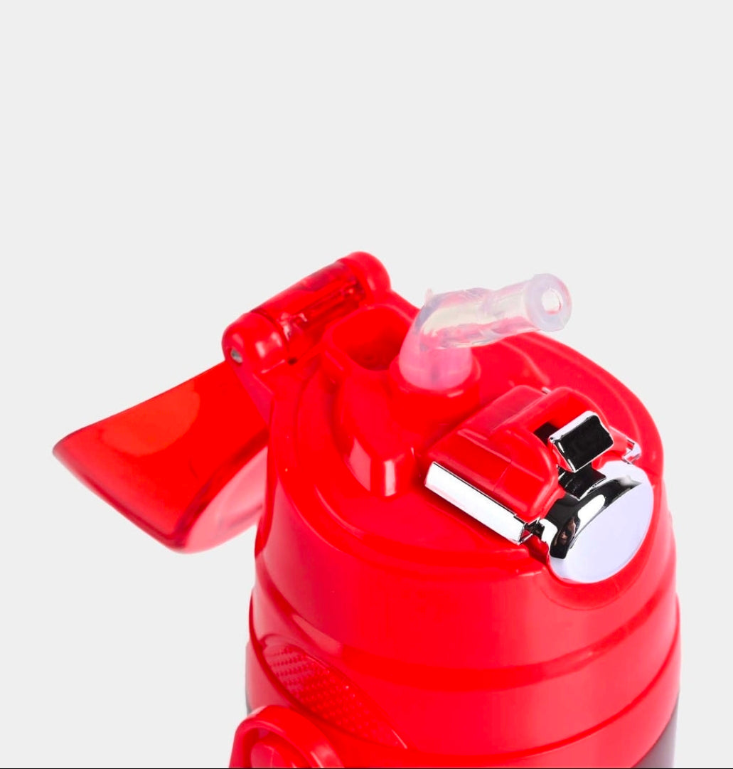 Mc Queen Cars Steel Water Bottle