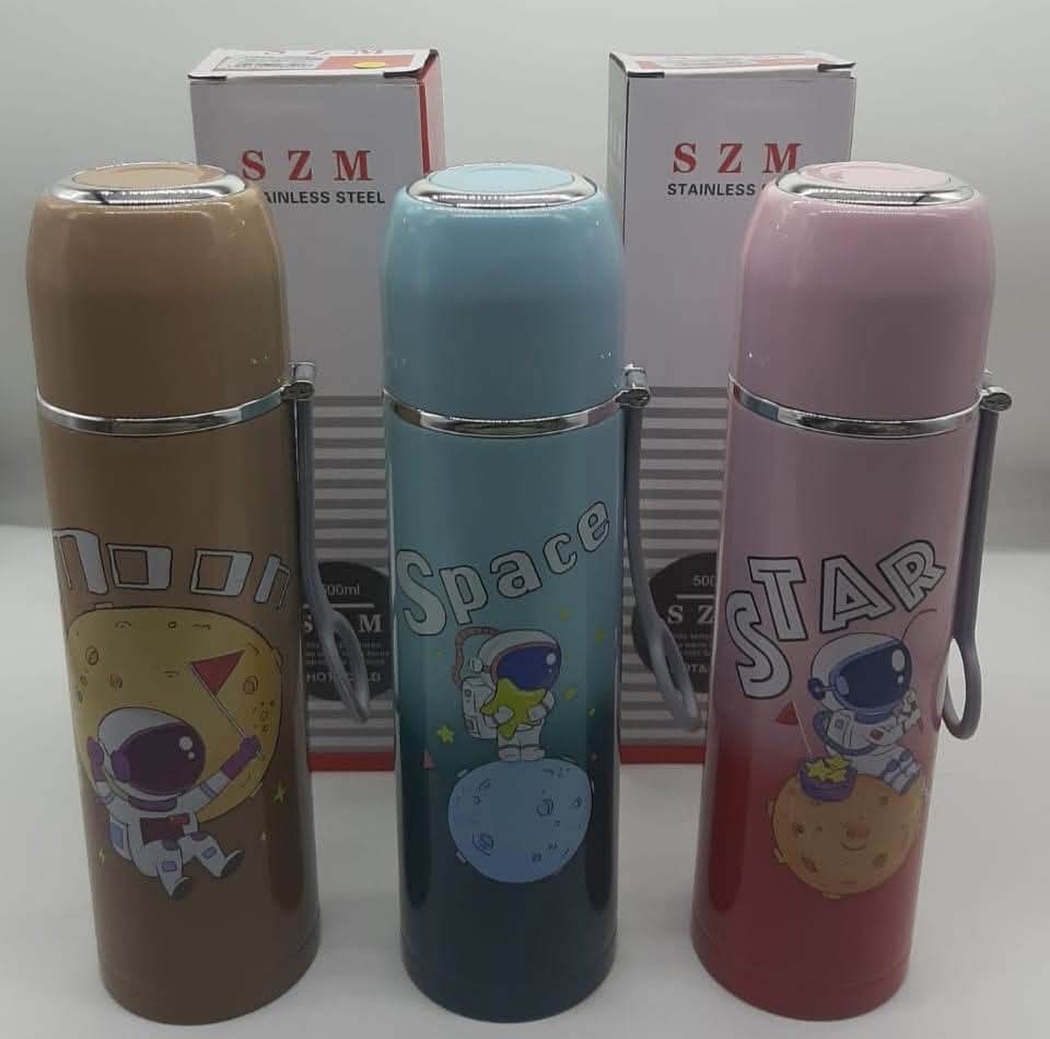 Spaceship Stainless Steel Water Bottle