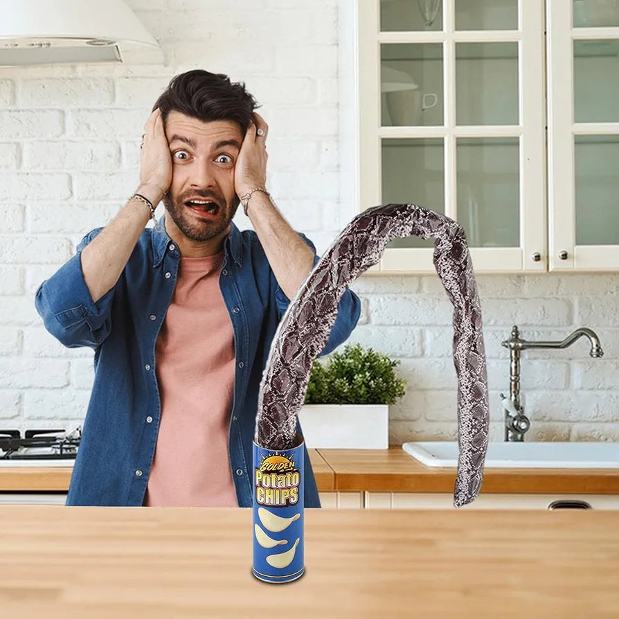 Chips Snake Prank Toy