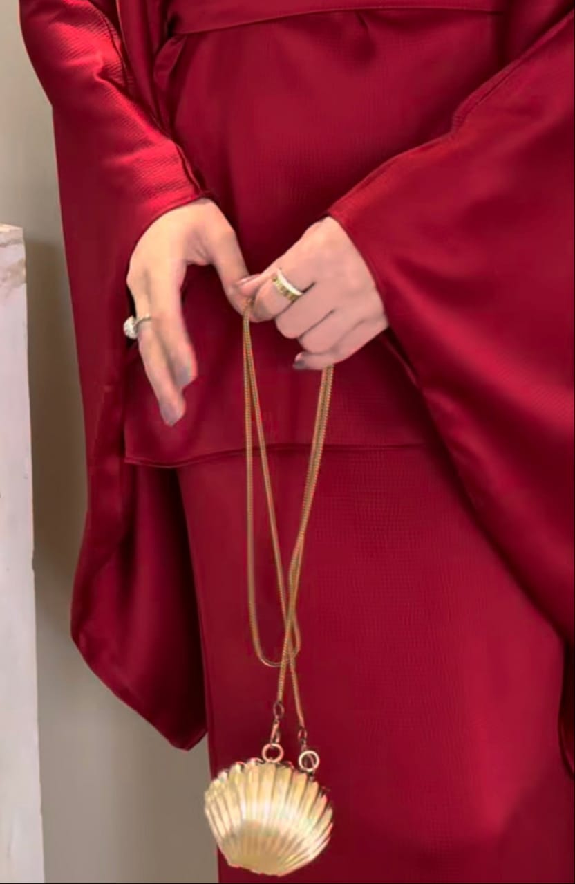 Shell Metal Bag | Purse | Clutch With Chain