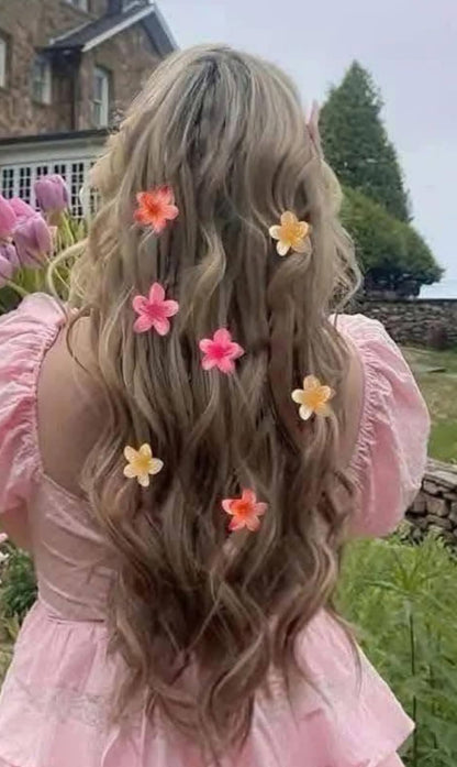 Pack Of Six Korean Flower Hair Claw Catchers