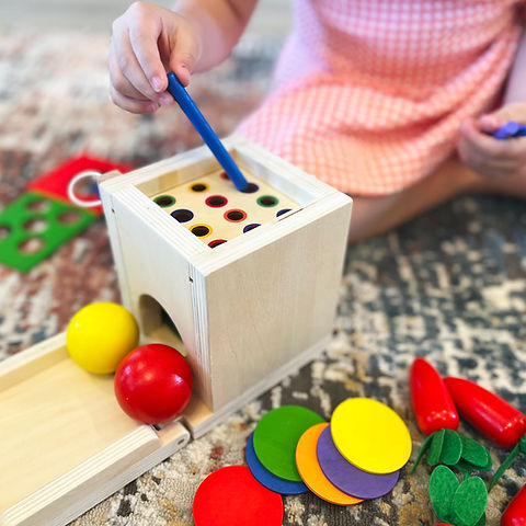 4 in 1 Montessori Play Kit