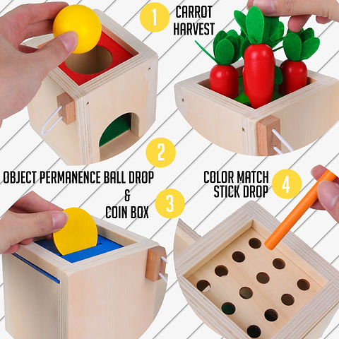 4 in 1 Montessori Play Kit
