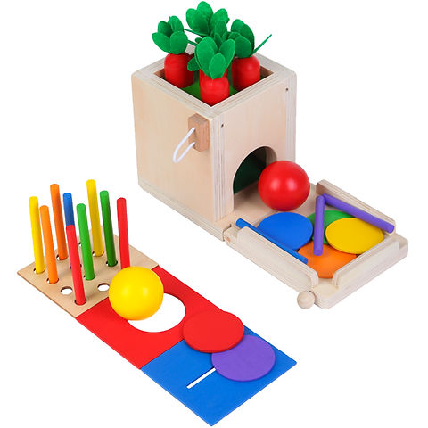 4 in 1 Montessori Play Kit