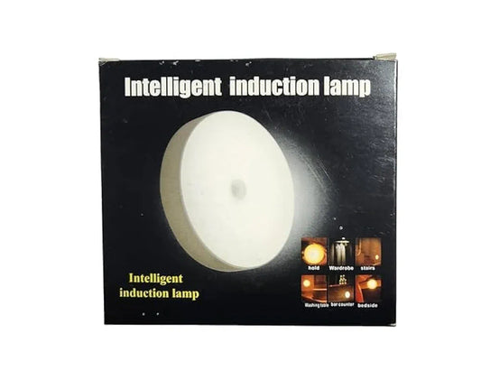 LED Induction Lamp