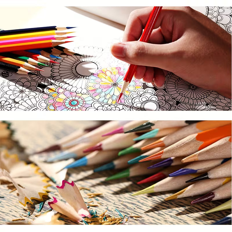 Good Quality Color Pencils With Jar