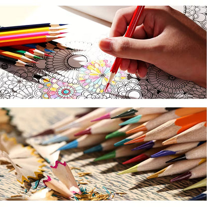 Good Quality Color Pencils With Jar