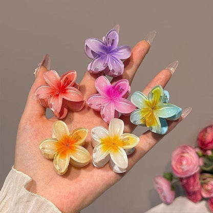 Pack Of Six Korean Flower Hair Claw Catchers