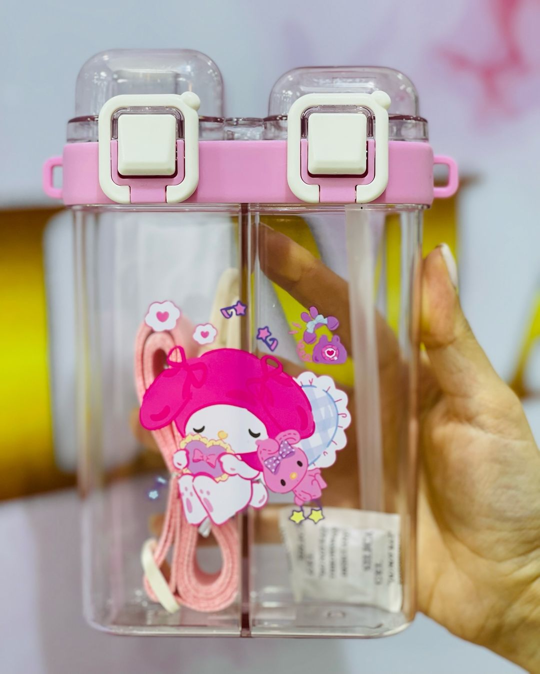 Sanrio Theme Two Sided Partition Water Bottle