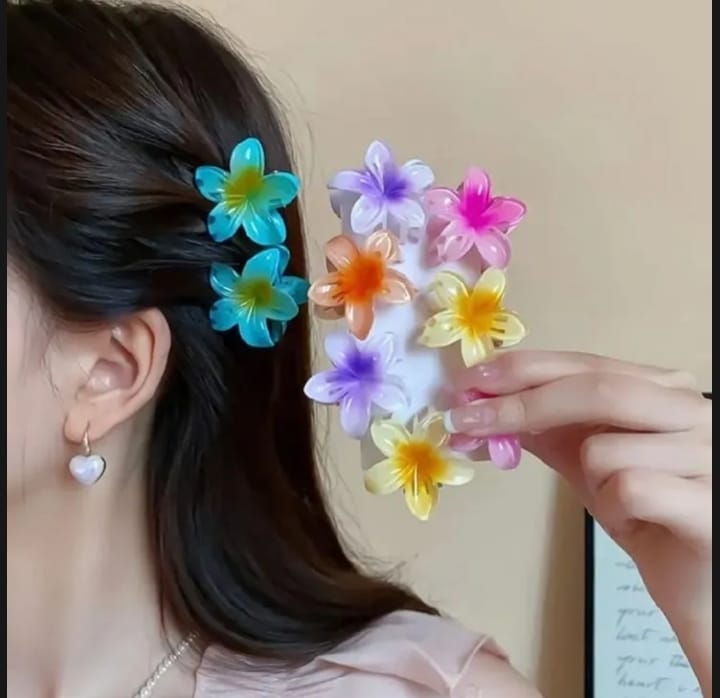 Pack Of Six Korean Flower Hair Claw Catchers