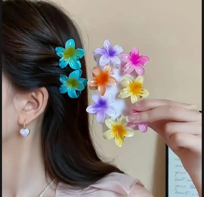 Pack Of Six Korean Flower Hair Claw Catchers