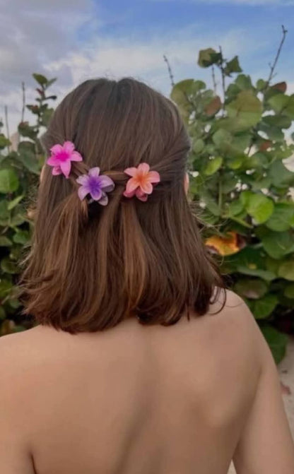 Pack Of Six Korean Flower Hair Claw Catchers