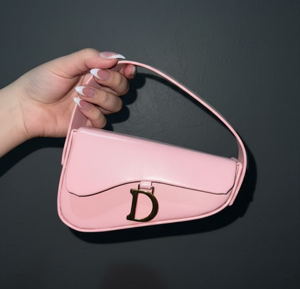 Dior Saddle Bag