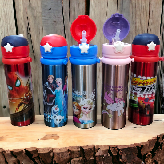 Stainless Steel Character Water Bottle