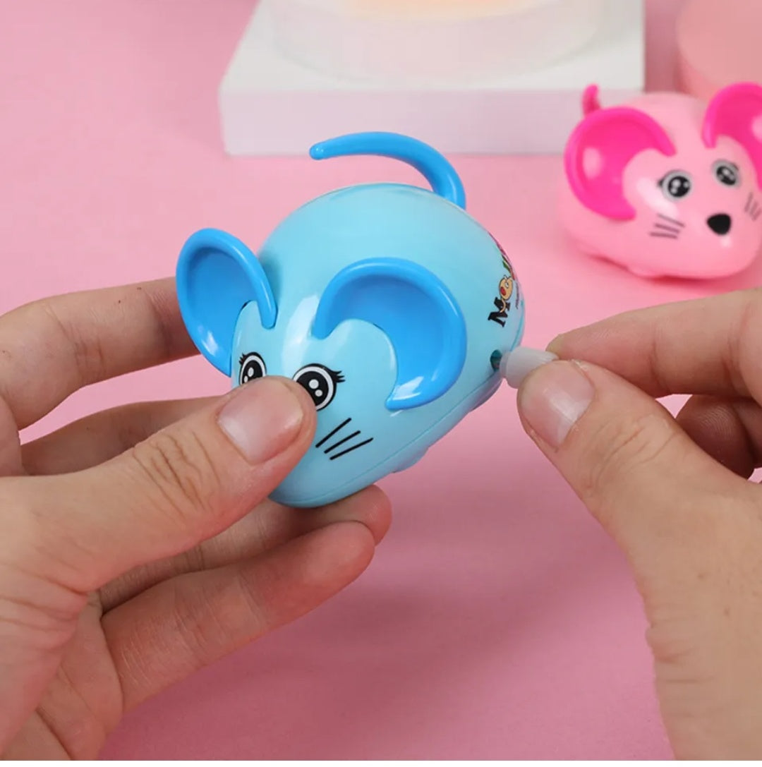 Wind Up Mouse Toy