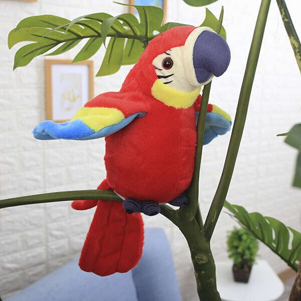 Recording Parrot Toy