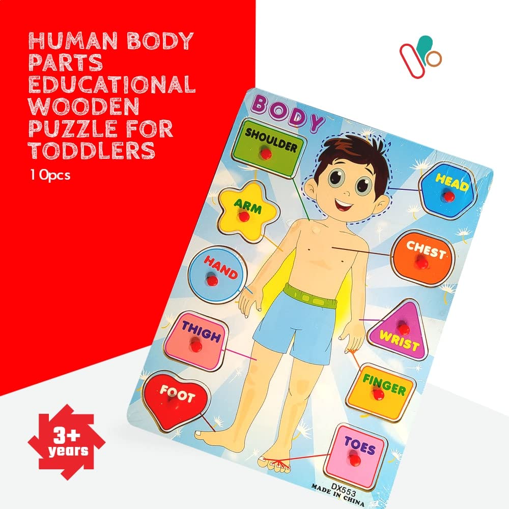 Body Parts Learning Wooden Puzzle Board