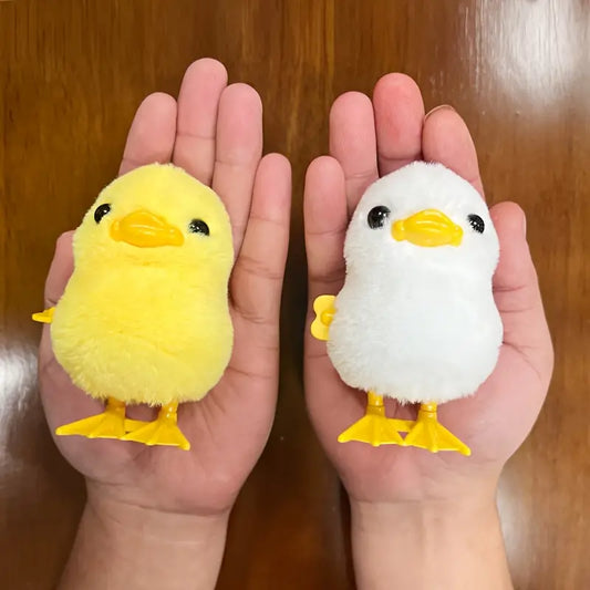 Wind Up Chick Toy