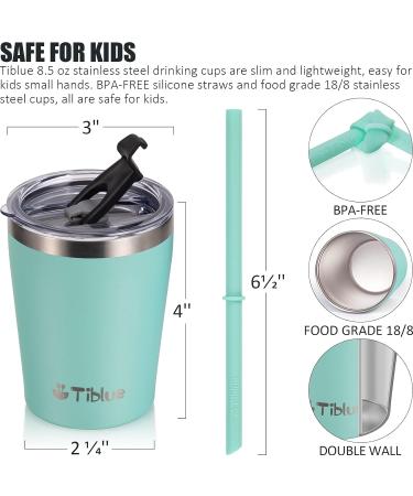 Premium Stainless Steel Insulated Mini Tumbler – Leakproof & BPA Free