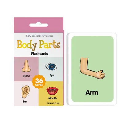 Body Parts Early Education Flash Cards