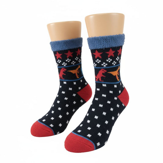 Thick Wool Dinosaur Lounge Socks For Kids