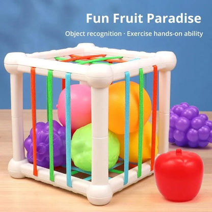 Interactive Baby Sensory Shape Sorter Fruit Cube