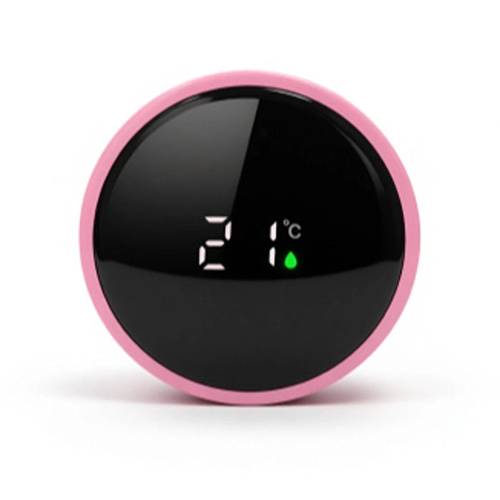 Labubu Steel Temperature Water Bottle