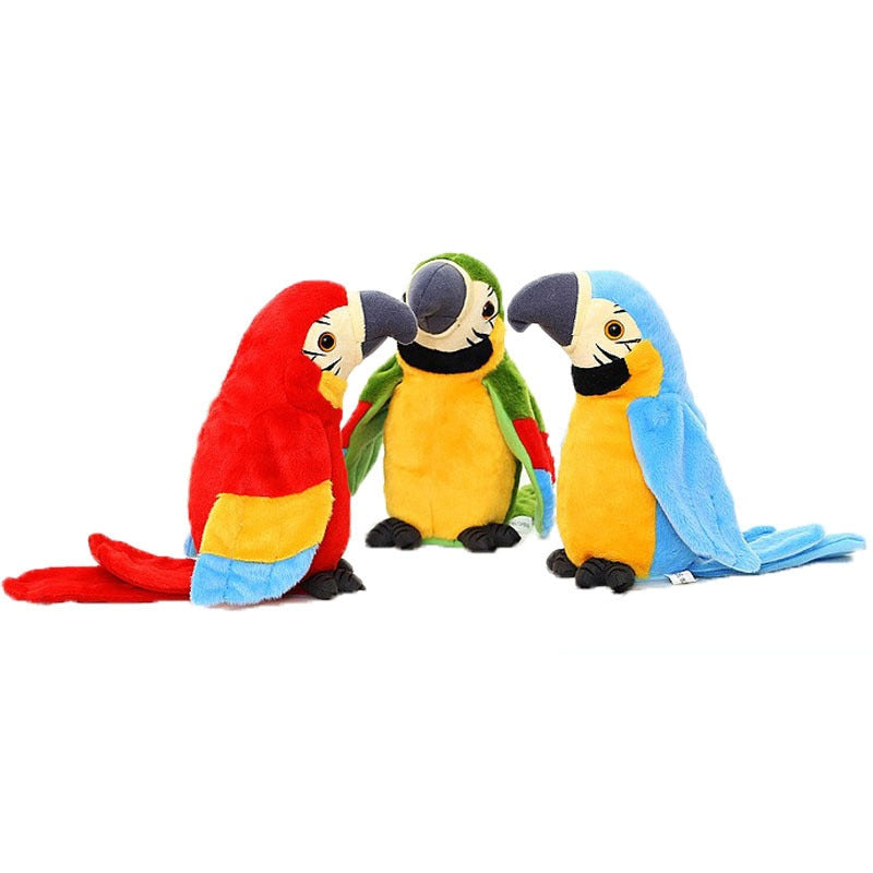 Recording Parrot Toy