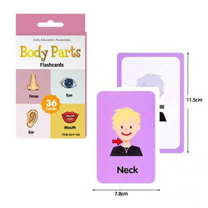 Body Parts Early Education Flash Cards