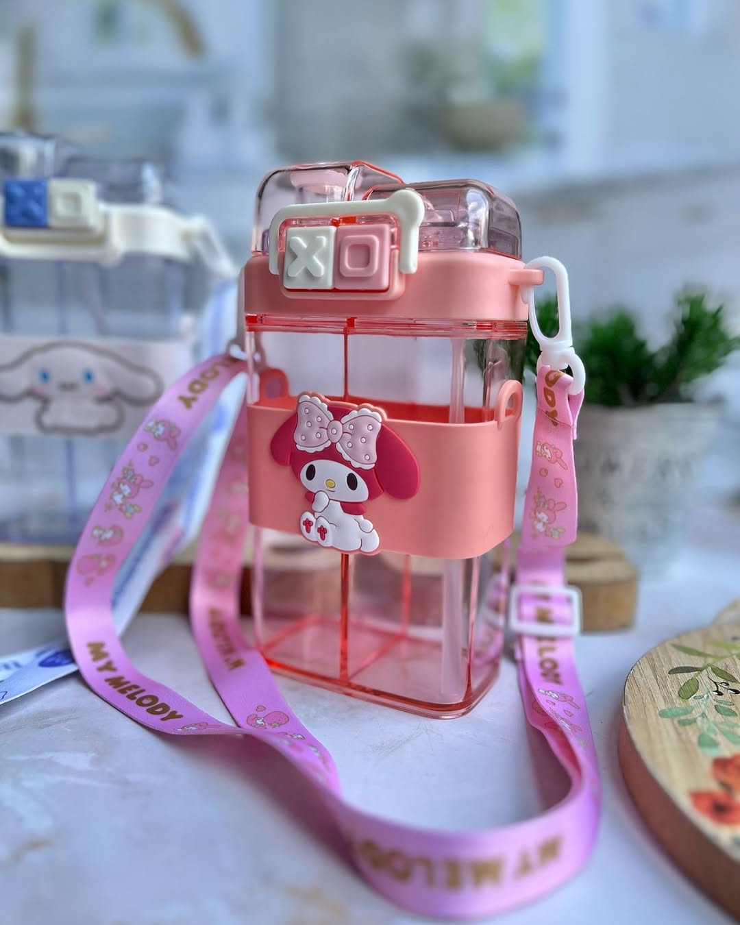 Sanrio Two Way 2 In 1  Partition Water Bottle