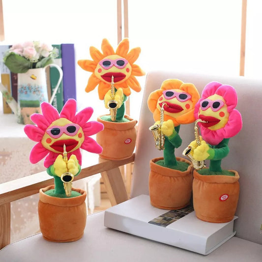 Sun Flower Dancing Recording & Singing Cactus