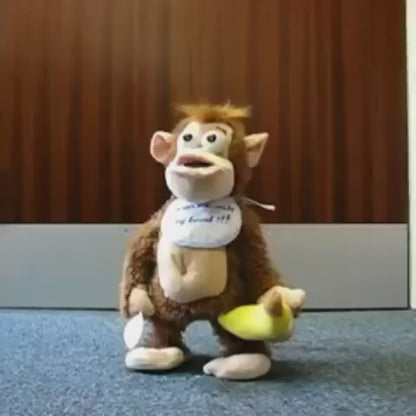 Funny Crying monkey